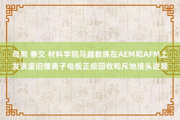 母狗 拳交 材料学院马越教练在AEM和AFM上发表废旧锂离子电板正极回收和斥地接头进展