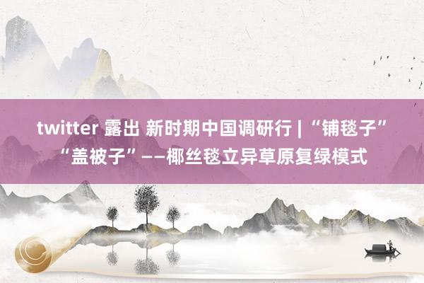 twitter 露出 新时期中国调研行 | “铺毯子”“盖被子”——椰丝毯立异草原复绿模式