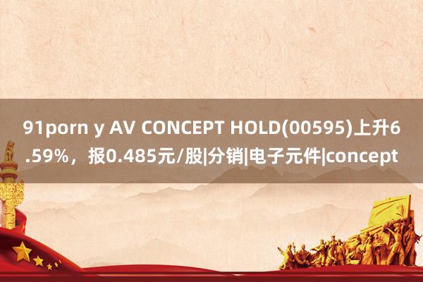 91porn y AV CONCEPT HOLD(00595)上升6.59%，报0.485元/股|分销|电子元件|concept