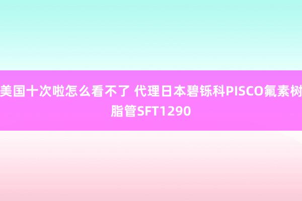 美国十次啦怎么看不了 代理日本碧铄科PISCO氟素树脂管SFT1290